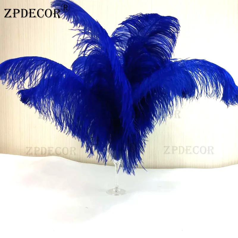 18~20 Inch 45-50CM Super Ostrich Feathers for Party and DIY jewelry Craft Making
18~20 Inch 45-50CM Super Ostrich Feathers for Party and DIY jewelry Craft Making