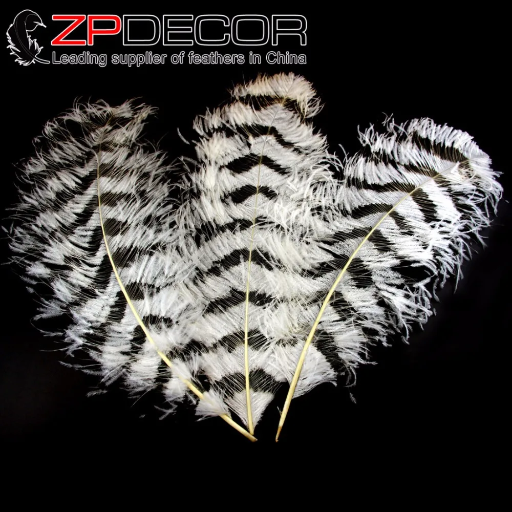 ZPDECOR 70-75 см (28-30 дюймов) 100 шт./лот Уникальные Белые секционные сгоревшие Прайм белые страусиные перья Бесплатная доставка экспресс
ZPDECOR 70-75 см (28-30 дюймов) 100 шт./лот Уникальные Белые секционные сгоревшие Прайм белые страусиные перья Бесплатная доставка экспресс
