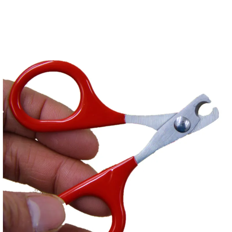 New Simple Pet Safety Claws Scissor Cut Product Stainless Steel Trimmer Clipper for Cats and Dog Pet Supplies Accessories(red)
New Simple Pet Safety Claws Scissor Cut Product Stainless Steel Trimmer Clipper for Cats and Dog Pet Supplies Accessories(red)