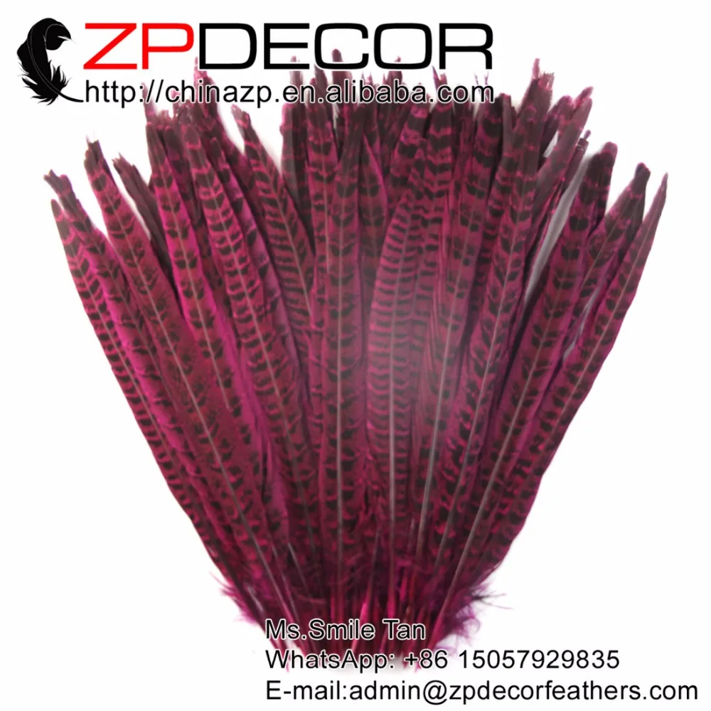 ZPDECOR 100 шт./лот 30-35 см (12-14 дюймов) непосредственно окрашенные ярко-розовые перья из хвоста фазана для украшения карнавального костюма
ZPDECOR 100 шт./лот 30-35 см (12-14 дюймов) непосредственно окрашенные ярко-розовые перья из хвоста фазана для украшения карнавального костюма