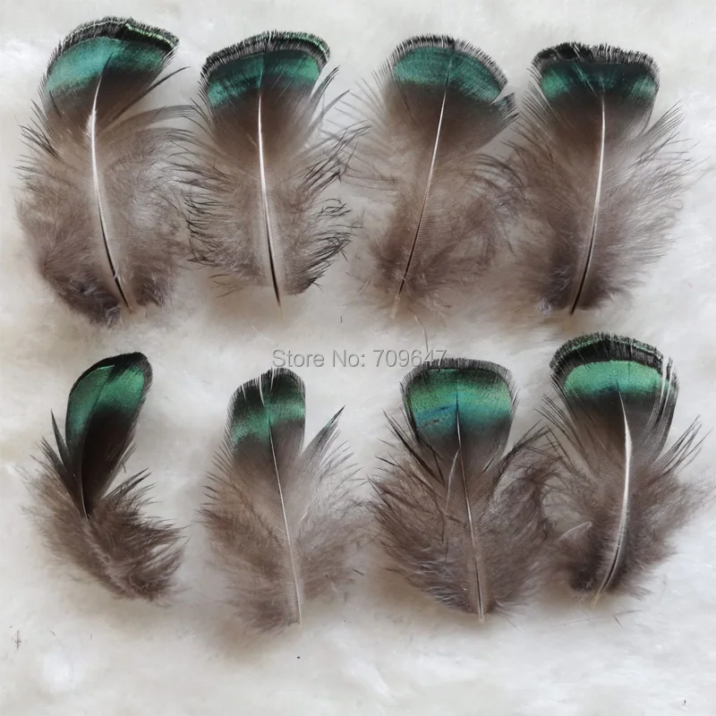 100Pcs/Lot 3-5CM Loose Small Green Bronze Lady Amherst Pheasant Plumage Feathers for Jewelry Making,Costumes,Plumas Decorativas
100Pcs/Lot 3-5CM Loose Small Green Bronze Lady Amherst Pheasant Plumage Feathers for Jewelry Making,Costumes,Plumas Decorativas