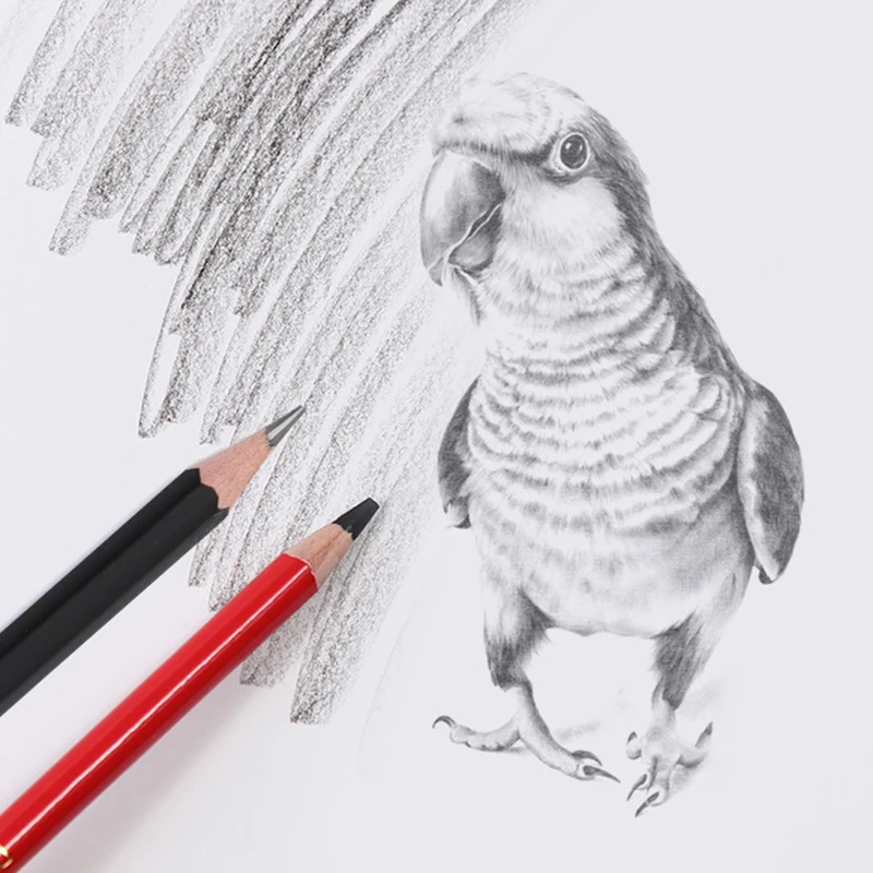 30Pcs Sketch Pencil Set Professional Sketching Drawing Pencils School Students Art Supplies
30Pcs Sketch Pencil Set Professional Sketching Drawing Pencils School Students Art Supplies