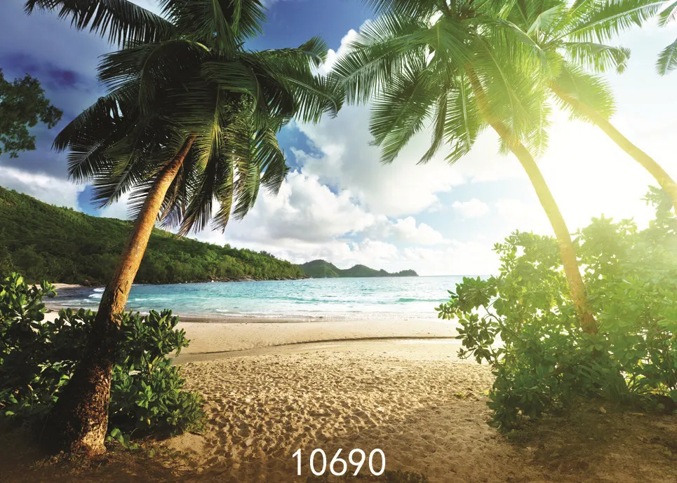 Photographic Backgrounds Baby Holiday Beach Palm Tree Printed Photo Backdrops Vinyl Cloth For Photo Studio Fundo Fotografia
Photographic Backgrounds Baby Holiday Beach Palm Tree Printed Photo Backdrops Vinyl Cloth For Photo Studio Fundo Fotografia