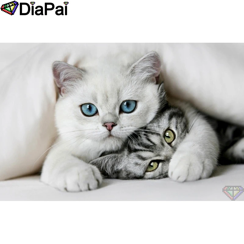 DIAPAI 5D DIY Diamond Painting 100% Full Square/Round Drill "Animal cat" Diamond Embroidery Cross Stitch 3D Decor A21435
DIAPAI 5D DIY Diamond Painting 100% Full Square/Round Drill "Animal cat" Diamond Embroidery Cross Stitch 3D Decor A21435