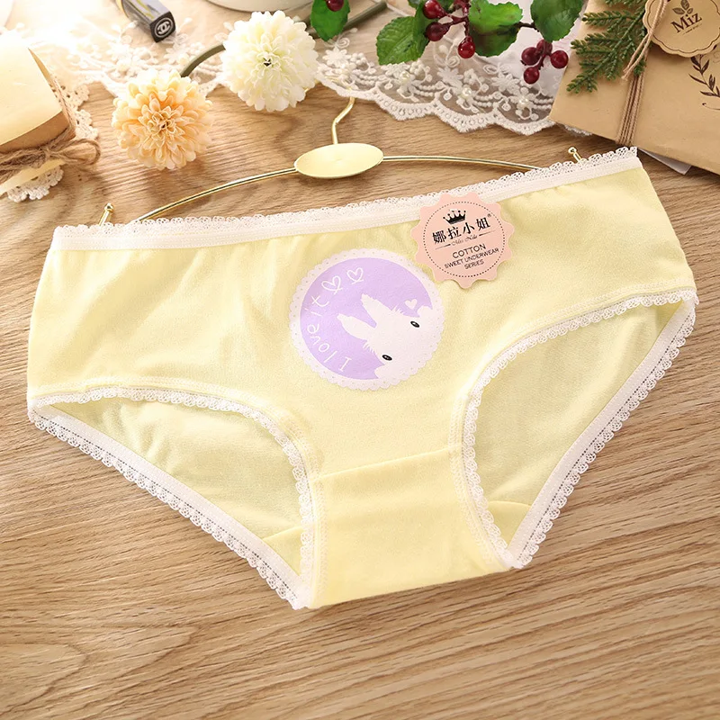 Free shipping 5pcs/lot New Women's cotton low waist briefs Cartoon candy color burst underwear women's cute wind briefs AMA007
Free shipping 5pcs/lot New Women's cotton low waist briefs Cartoon candy color burst underwear women's cute wind briefs AMA007