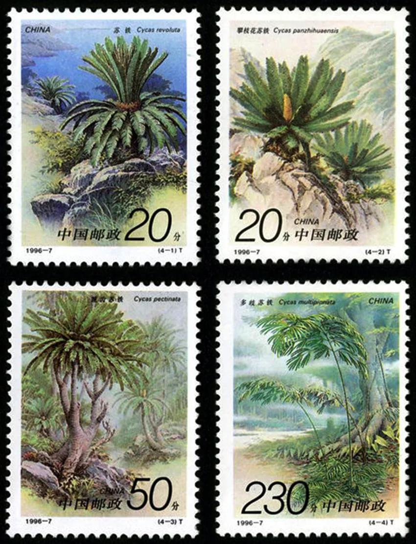 4 шт. в наборе Cycad 1996 7 почтовая коллекция почтовых марок почты Китая|Штампики| |