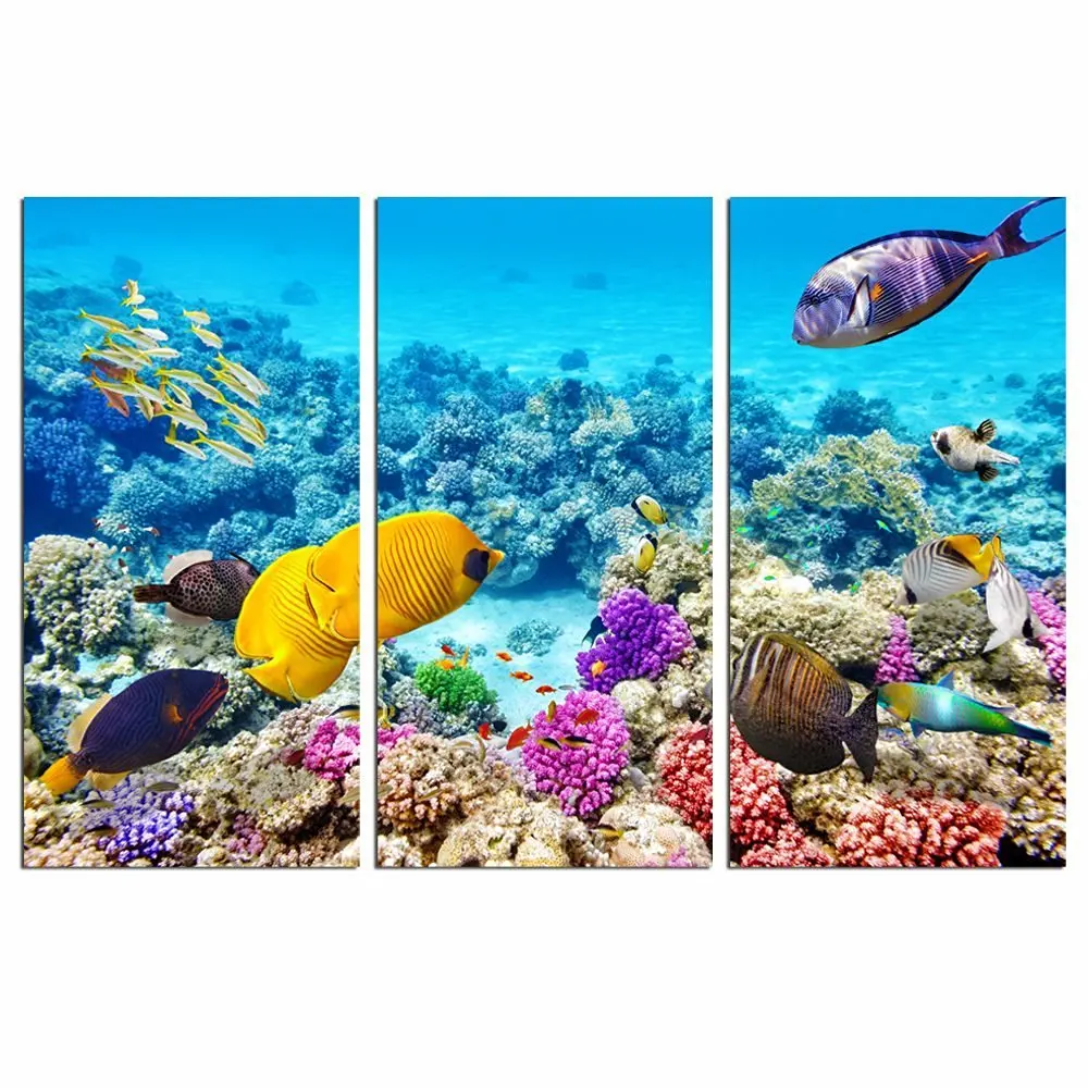 3 pieces framed Wall Art Picture Gift Home Decoration Canvas Print painting bottom of the sea fish wholesale/12Y-90
3 pieces framed Wall Art Picture Gift Home Decoration Canvas Print painting bottom of the sea fish wholesale/12Y-90