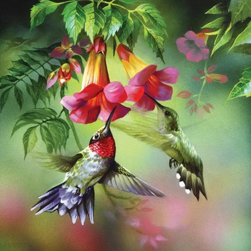 Hummingbird flower diamond Embroidery diy diamond painting mosaic diamant painting 3d cross stitch diamond pictures H469
Hummingbird flower diamond Embroidery diy diamond painting mosaic diamant painting 3d cross stitch diamond pictures H469