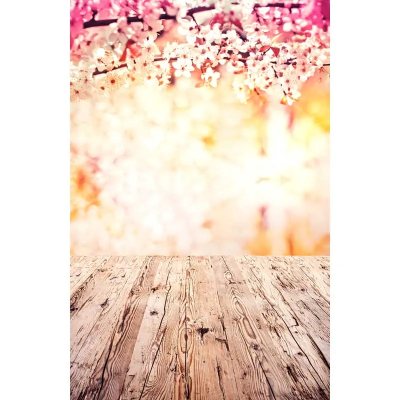 Camera & Photo