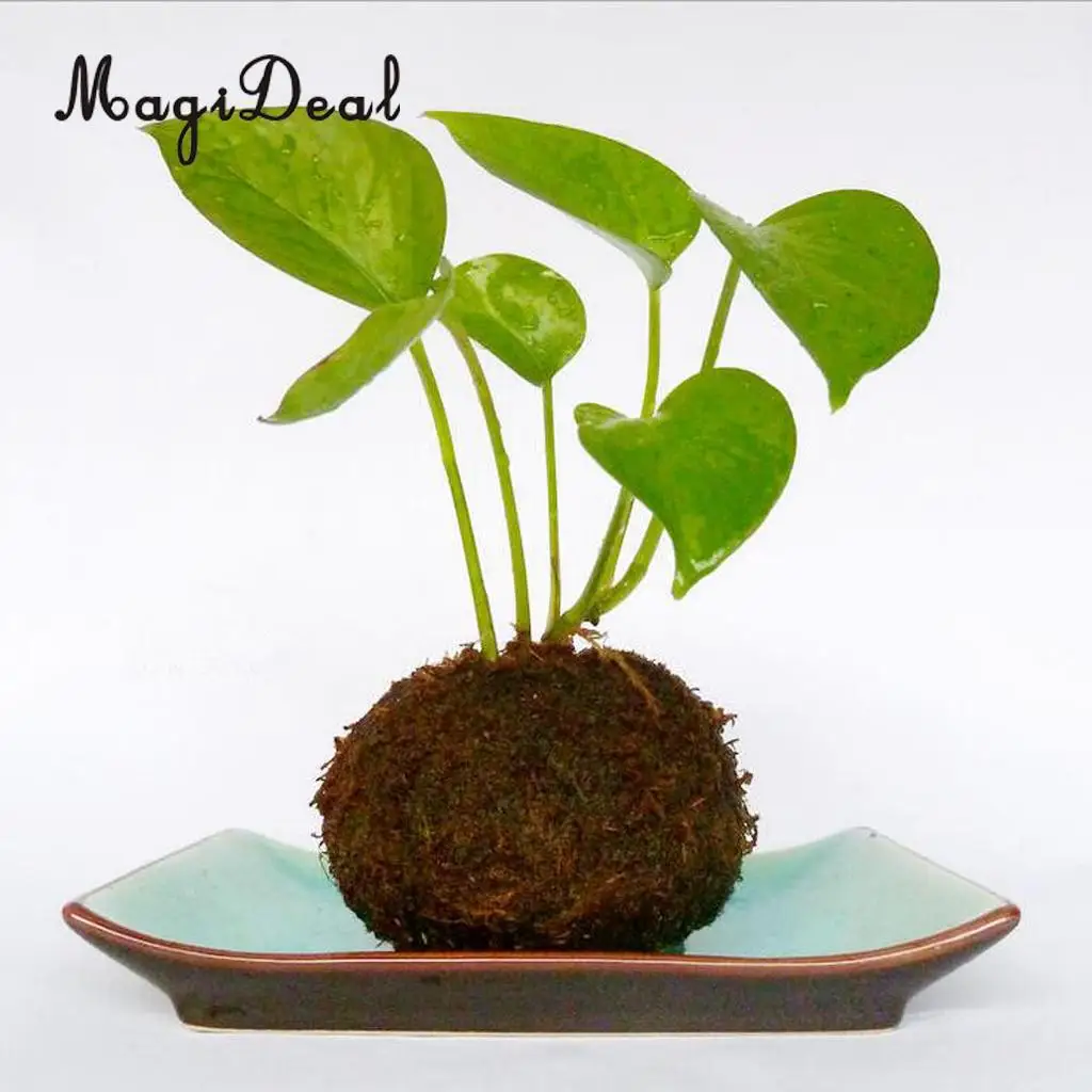 Креативный цветочный горшок с шариком из Моха подставка для растений бонсай