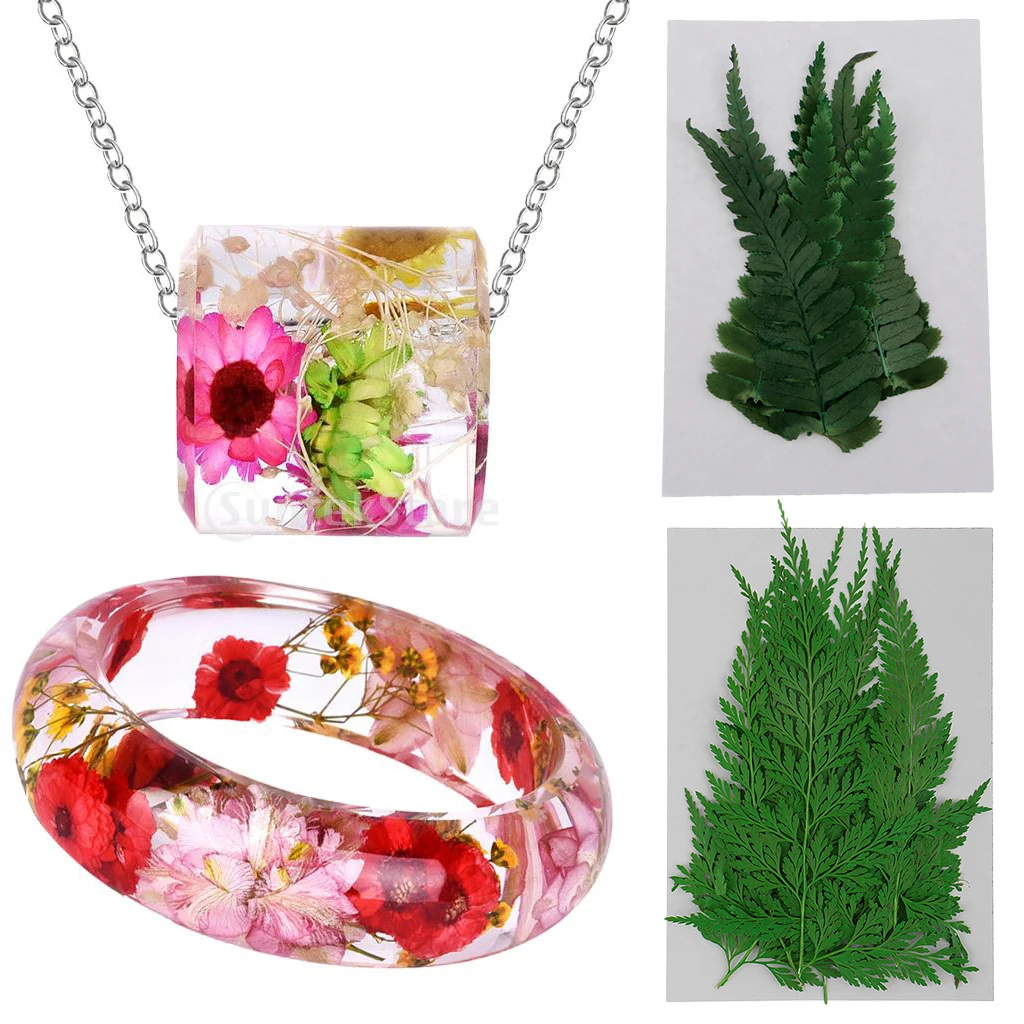 22 Pieces Green Pressed Dried Flower Dry Ferns Leaves for DIY Scrapbooking Art Craft Bookmark Card Making
22 Pieces Green Pressed Dried Flower Dry Ferns Leaves for DIY Scrapbooking Art Craft Bookmark Card Making