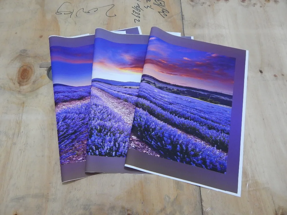 purple flower canvas painting for children room vintage picture panel landscape oil painting triplex picture modern art painting
purple flower canvas painting for children room vintage picture panel landscape oil painting triplex picture modern art painting