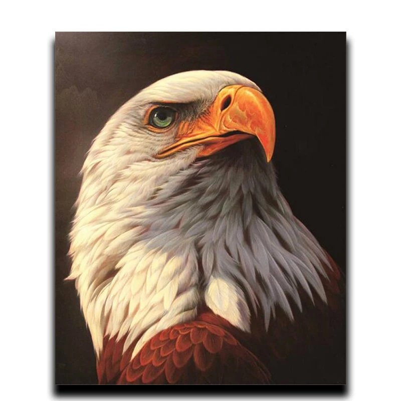 Painting Diamond Diy cross stitch 3d diamond embroidered Full animal 5d round \ square diamond mosaic decor Eagle head feather
Painting Diamond Diy cross stitch 3d diamond embroidered Full animal 5d round \ square diamond mosaic decor Eagle head feather