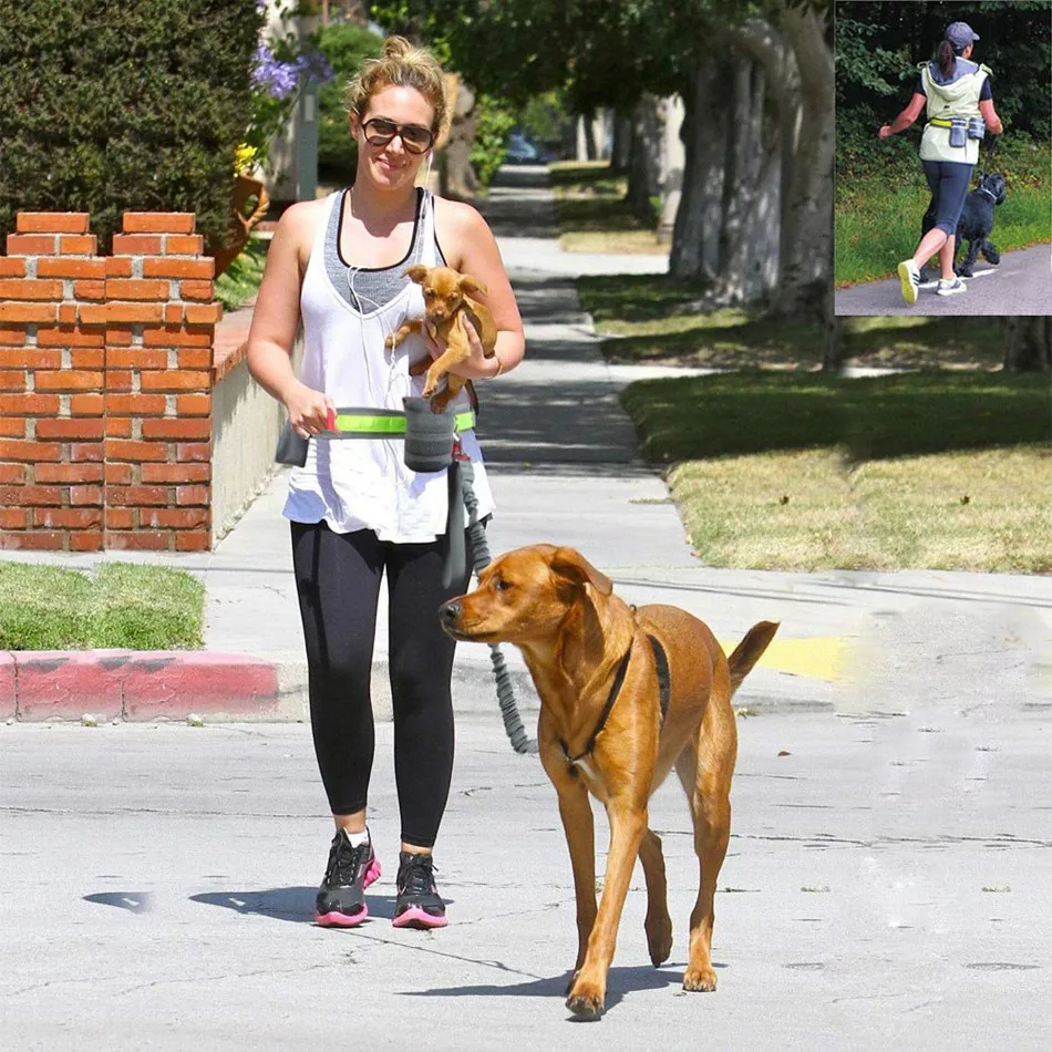 High Quality Outdoor Running Waist Bag Of Dog Traction Rope Pet Traction Belt Bag Set Daily Walking Accessories Elastic Belt
High Quality Outdoor Running Waist Bag Of Dog Traction Rope Pet Traction Belt Bag Set Daily Walking Accessories Elastic Belt