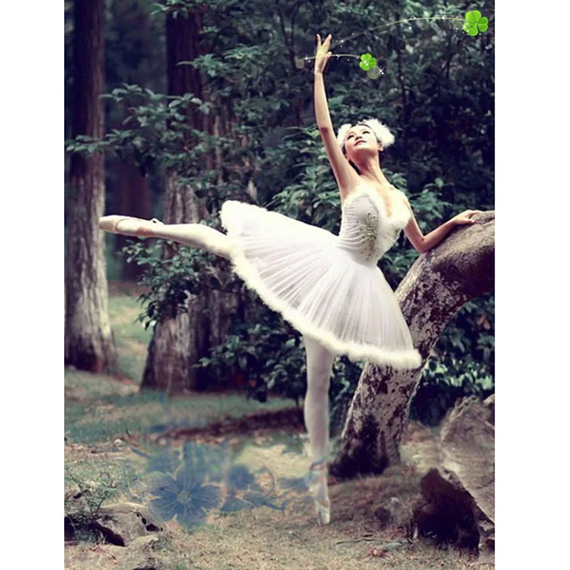 Hard Tulle Dress Costume Performance DressTutu Dresses For Girls,Adult or Children Hard Organdy Platter Skirt Ballet Tutu
Hard Tulle Dress Costume Performance DressTutu Dresses For Girls,Adult or Children Hard Organdy Platter Skirt Ballet Tutu