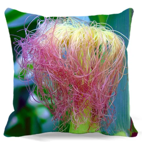 Soft Square Pillows case Cotton polyester Home car sofa Decorative Throw Cushion cover Corn silk pink yellow
Soft Square Pillows case Cotton polyester Home car sofa Decorative Throw Cushion cover Corn silk pink yellow