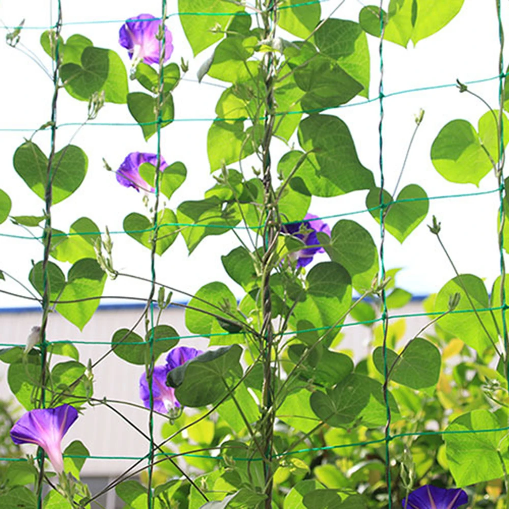 1 8*1 8 м/1 8*2 7 м садовая зеленая нейлоновая сетчатая шпалера для поддержки растений