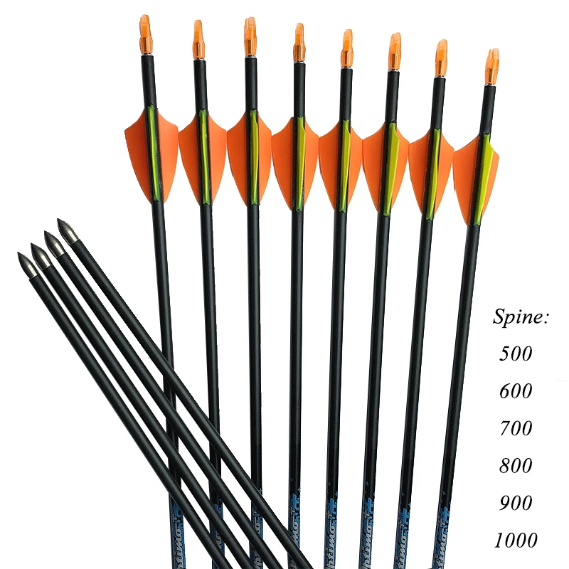 Archery 12Pcs SF Pure Carbon Arrows ID4.2mm 1.75" arrow Vanes Pin Nocks Stainless Points Recurve Bow shooting
Archery 12Pcs SF Pure Carbon Arrows ID4.2mm 1.75" arrow Vanes Pin Nocks Stainless Points Recurve Bow shooting