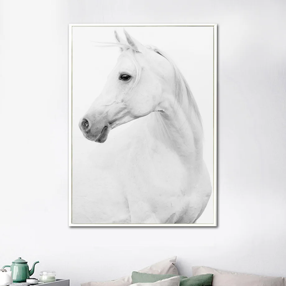 White Horse Animals Wall Art Canvas Painting Nordic Posters And Prints Canvas Art Wall Pictures For Living Room Bedroom Decor
White Horse Animals Wall Art Canvas Painting Nordic Posters And Prints Canvas Art Wall Pictures For Living Room Bedroom Decor