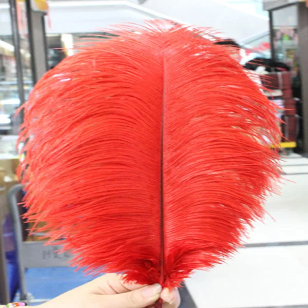 Hot! Free shipping manufacturers selling 50 PCS Red ostrich feathers 10-12inches/25-30cm
Hot! Free shipping manufacturers selling 50 PCS Red ostrich feathers 10-12inches/25-30cm