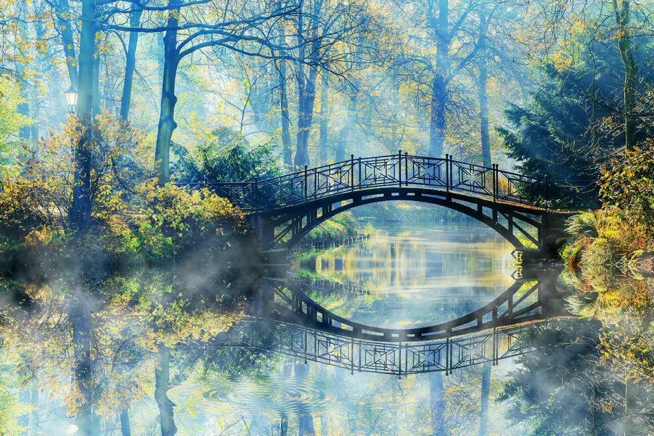 Park Bridge River tree photography backgrounds High quality Computer print scenic backdrop
Park Bridge River tree photography backgrounds High quality Computer print scenic backdrop