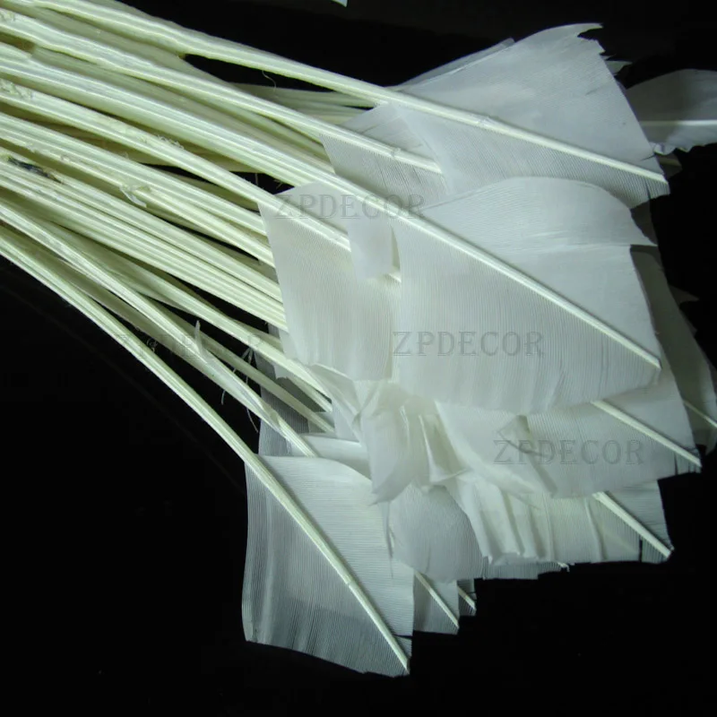 Wholesale 200PCS Turkey feathers 25-30CM/10-12 Inch DIY Jewelry Decoration decorative Accessories Feathers
Wholesale 200PCS Turkey feathers 25-30CM/10-12 Inch DIY Jewelry Decoration decorative Accessories Feathers