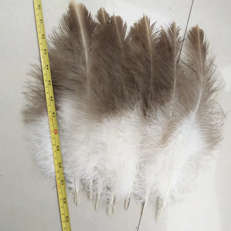 100 шт./лот красивые натуральные перья hawk 25-30 см 10-12 дюймов | Дом и сад