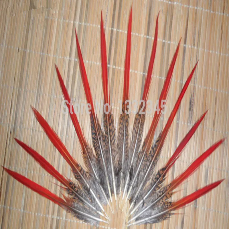 50Pcs/Lot NEW Golden Pheasant Red Tip Tail Feathers 20-25CM 8-10inch Long for Craft Supplies
50Pcs/Lot NEW Golden Pheasant Red Tip Tail Feathers 20-25CM 8-10inch Long for Craft Supplies