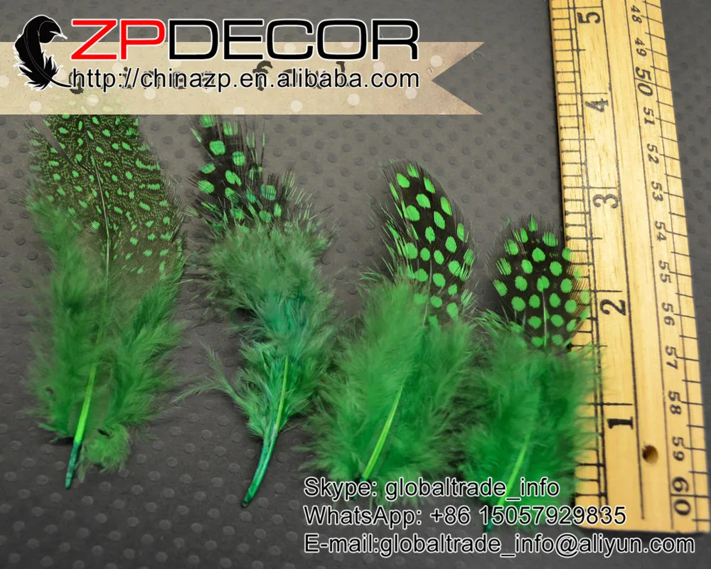 ZPDECOR 500pcs/lot Pretty Handwork Dyed Kelly Green Guinea Hen Plumage Feathers Cheap Sale
ZPDECOR 500pcs/lot Pretty Handwork Dyed Kelly Green Guinea Hen Plumage Feathers Cheap Sale