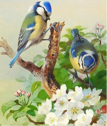 5D Diy Diamond Painting bird Full round Rhinestones Cross Stitch Crystal Mosaic Embroidery flower Home Decoration Unfinished
5D Diy Diamond Painting bird Full round Rhinestones Cross Stitch Crystal Mosaic Embroidery flower Home Decoration Unfinished