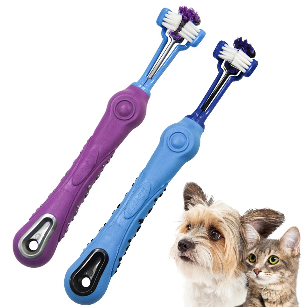 2 Pcs Pet Toothbrush Random Color Dog Cat Cleaning Supplies Teddy Dog Brush Addition Bad Breath Tartar Teeth Care
2 Pcs Pet Toothbrush Random Color Dog Cat Cleaning Supplies Teddy Dog Brush Addition Bad Breath Tartar Teeth Care
