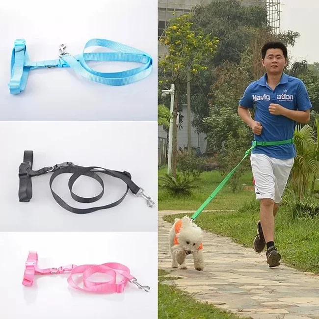 Item C pet Outdoors running Nylon Dog Training Rope Belt Pet morning Traction Rope Chain Belt Harness Hands free Leashes 1pc
Item C pet Outdoors running Nylon Dog Training Rope Belt Pet morning Traction Rope Chain Belt Harness Hands free Leashes 1pc