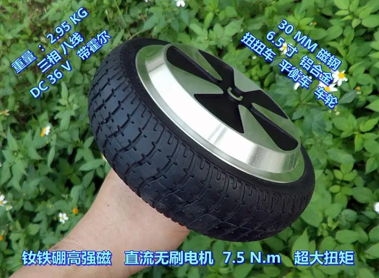High-power DC24V/36V brushless motor High torque 7.5 N.m Balance car Twist car Power wheel
High-power DC24V/36V brushless motor High torque 7.5 N.m Balance car Twist car Power wheel