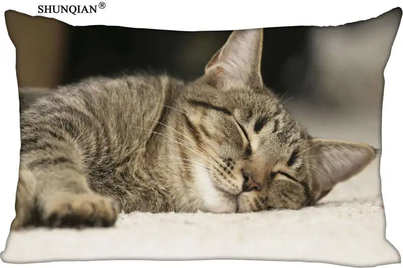 High Quality Custom cute cat soft Pillowcase 45x35cm(One Side) Rectang Zipper Print Throw Pillowcase Cover
High Quality Custom cute cat soft Pillowcase 45x35cm(One Side) Rectang Zipper Print Throw Pillowcase Cover
