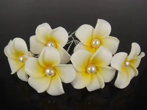 30 Pcs White Hawaiian Plumeria Pearl Flower Foam Hair Clip Hair Pins Hair Accessory Wedding Prom For Girl Women
30 Pcs White Hawaiian Plumeria Pearl Flower Foam Hair Clip Hair Pins Hair Accessory Wedding Prom For Girl Women