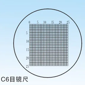 C6 0 2 мм DIV стеклянный окуляр для сцены шкала скольжения измерительный