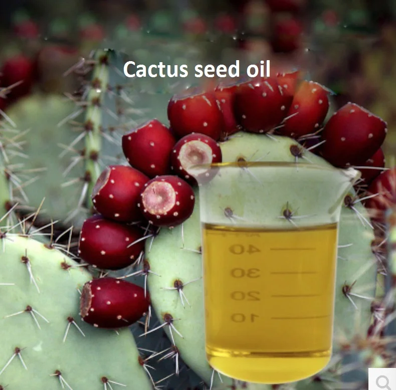 Cosmetics massage oil 10g/bottle Cactus seed oil essential base oil, organic cold pressed Cactus seed
Cosmetics massage oil 10g/bottle Cactus seed oil essential base oil, organic cold pressed Cactus seed