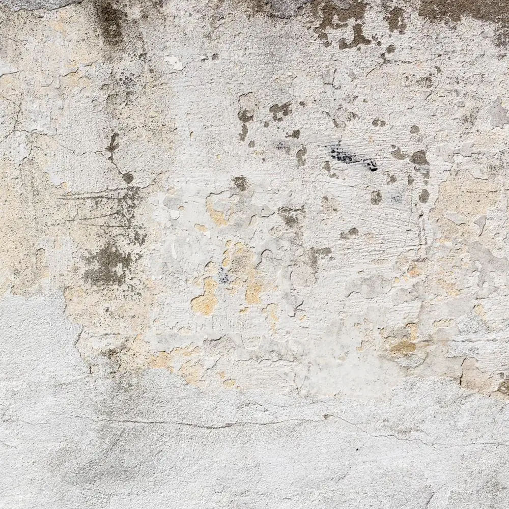 HUAYI Custom Backdrop For Photography White Mottled Pied Blocky Variegated Walls Portraits Background Realistic Shabby XT-7140
HUAYI Custom Backdrop For Photography White Mottled Pied Blocky Variegated Walls Portraits Background Realistic Shabby XT-7140