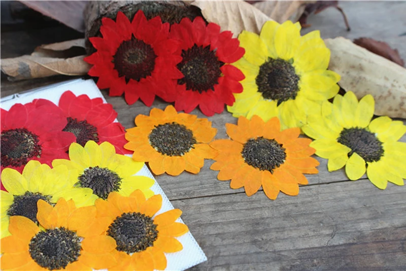 Sunflower Dried Pressed Flower Manufacturers In China Free Shipment 60pcs Wholesales
Sunflower Dried Pressed Flower Manufacturers In China Free Shipment 60pcs Wholesales