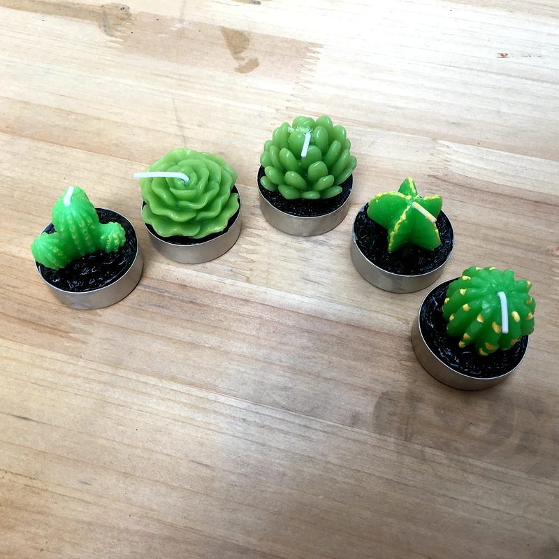 Fast Delivery Factory Directly Sale Wedding Favor Candle Favors Cacti Succulents Candle Pot Candles Simulation Potted Candles
Fast Delivery Factory Directly Sale Wedding Favor Candle Favors Cacti Succulents Candle Pot Candles Simulation Potted Candles