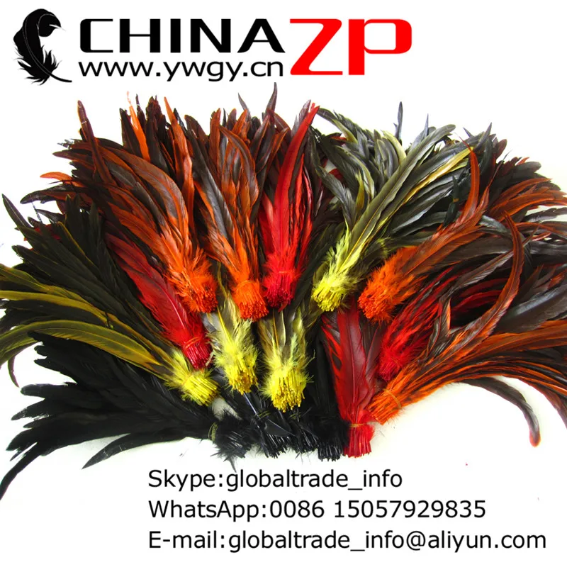 Leading Supplier CHINAZP Factory 30-35cm 100pcs/lot Top Quality Multi Color Rooster Tail Loose Feathers for Costume
Leading Supplier CHINAZP Factory 30-35cm 100pcs/lot Top Quality Multi Color Rooster Tail Loose Feathers for Costume