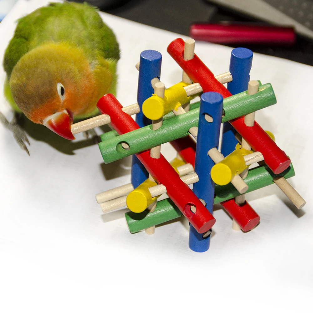 Parrot Toy For Bird ball Cage Accessories Supplies Cockatiel Perch Budgie Parakeet Cage Decoration agaporni vogel speelgoed
Parrot Toy For Bird ball Cage Accessories Supplies Cockatiel Perch Budgie Parakeet Cage Decoration agaporni vogel speelgoed