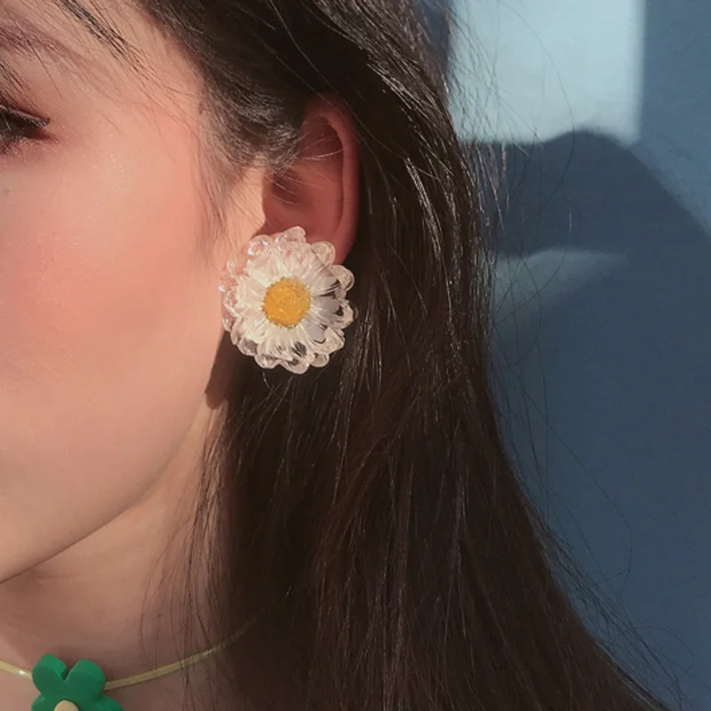 Женские корейские серьги гвоздики Daisy Flower летние Прозрачные Серьги с сушеным