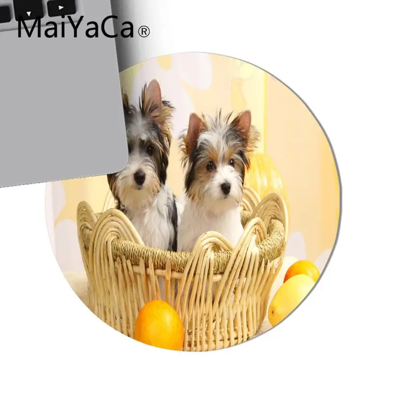 MaiYaCa funny yorkshire terrier dog puppy Office Mice Gamer Soft Mouse Pad Newest Super Cute gaming mouse pad for notebook gamer
MaiYaCa funny yorkshire terrier dog puppy Office Mice Gamer Soft Mouse Pad Newest Super Cute gaming mouse pad for notebook gamer