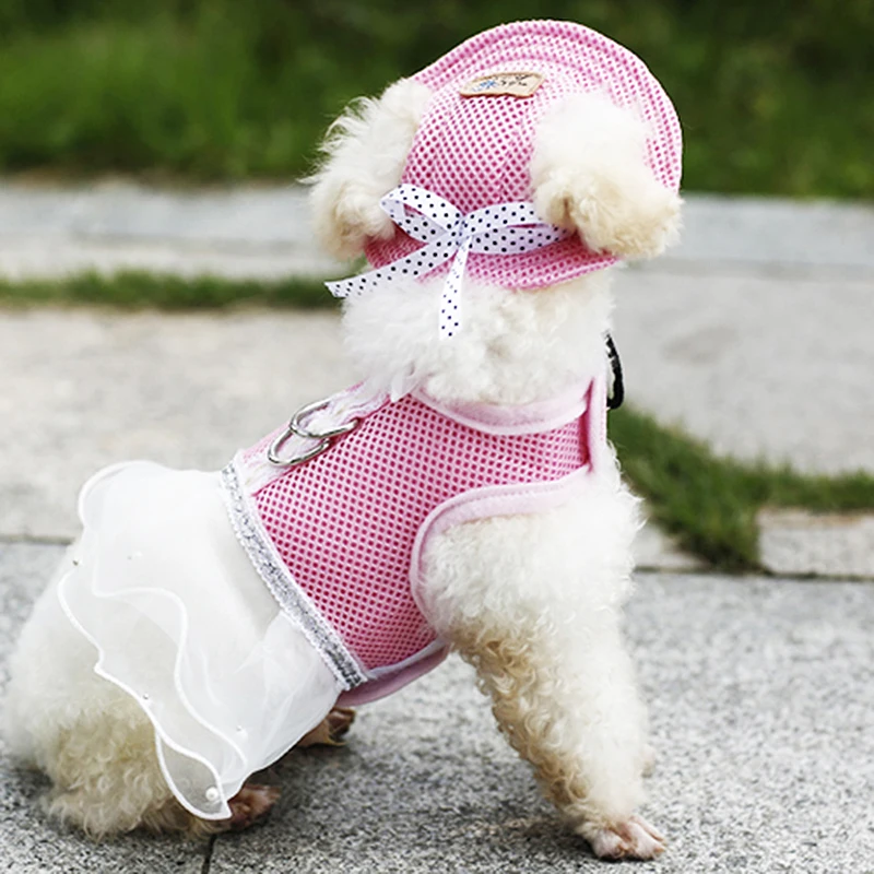 1PC Canvas For Small Pet Princess hat Pet Hat Topee Mesh Hiking Pet supplies Pet Products Baseball Cap With Ear Holes Breathable
1PC Canvas For Small Pet Princess hat Pet Hat Topee Mesh Hiking Pet supplies Pet Products Baseball Cap With Ear Holes Breathable