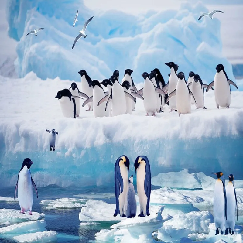 Dropship Colomac Wall Wallpaper Penguin Ice Heavens Living Room Wall Wallpaper for Kids Room Paper Wall Bedroom Papel Mural 3d
Dropship Colomac Wall Wallpaper Penguin Ice Heavens Living Room Wall Wallpaper for Kids Room Paper Wall Bedroom Papel Mural 3d
