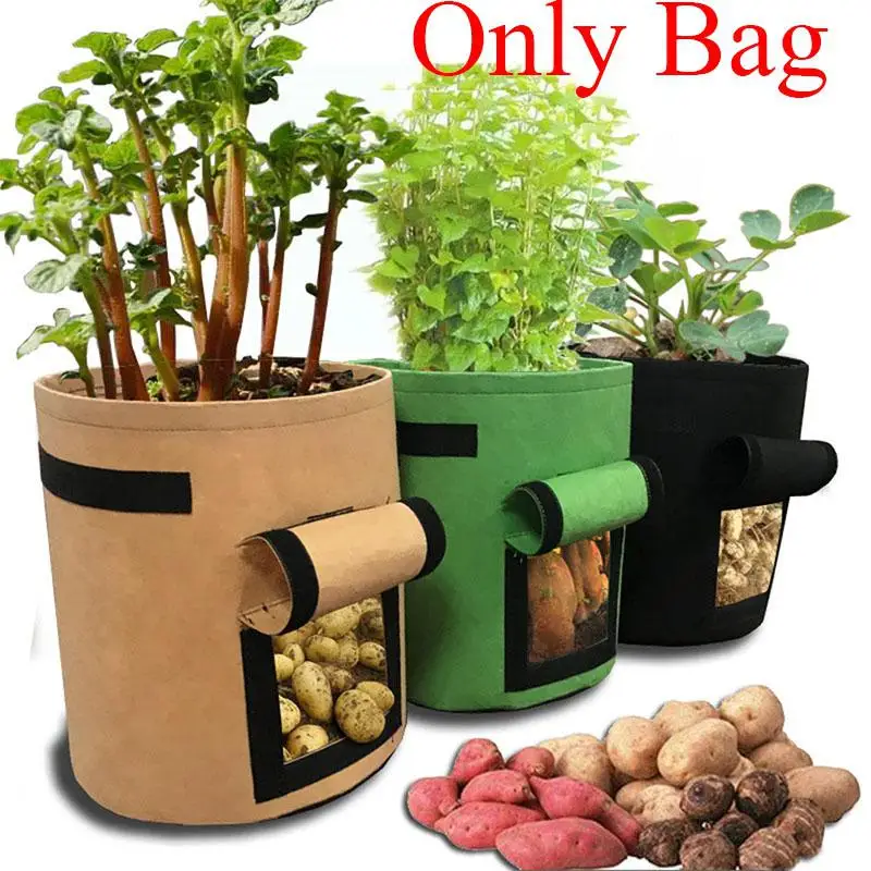 HobbyLane Breathable Potato Tomato Planting Bag Vegetable Plant Growth Bag Moisturizing Outdoor Vertical Garden Grow Bag
HobbyLane Breathable Potato Tomato Planting Bag Vegetable Plant Growth Bag Moisturizing Outdoor Vertical Garden Grow Bag