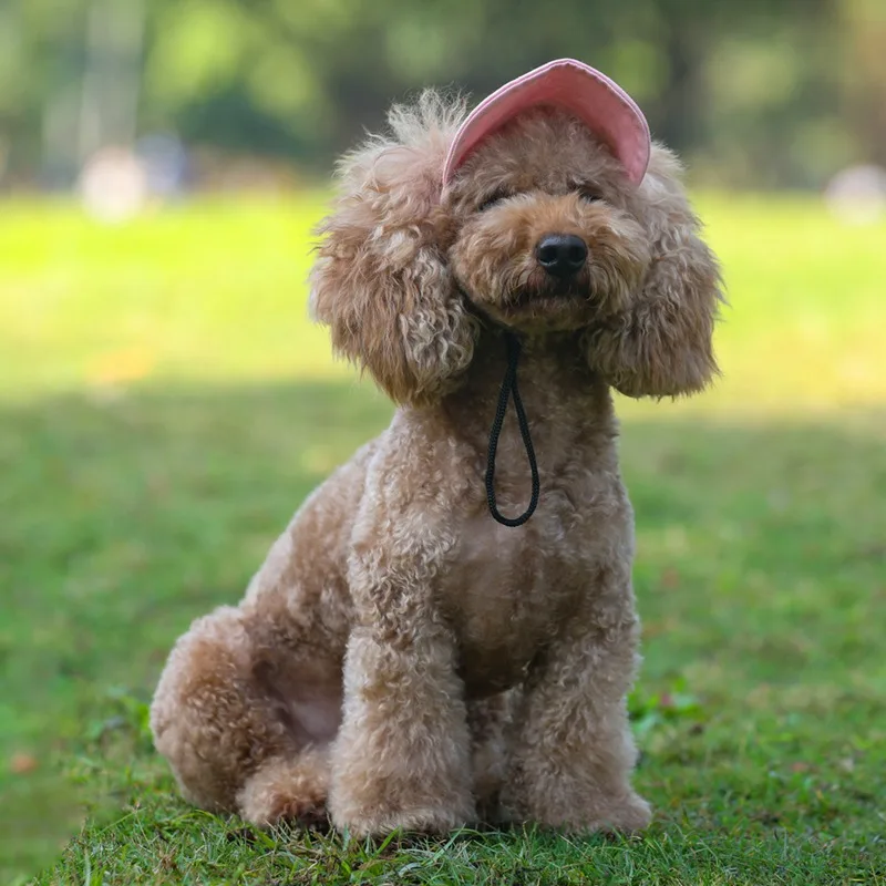 2019 Sun Hat For Dogs Cute Pet Casual Cotton Baseball Cap Chihuahua Yorkshire Pet Products Plus Size S/XL
2019 Sun Hat For Dogs Cute Pet Casual Cotton Baseball Cap Chihuahua Yorkshire Pet Products Plus Size S/XL