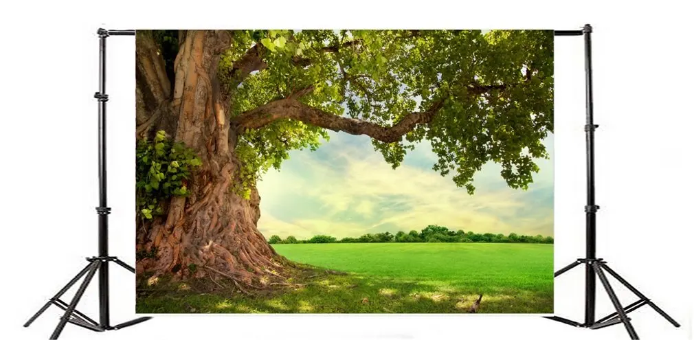 Photography Backdrop Spring Old Tree Green Leaves Grass Lawn Blue Sky White Cloud Nature Travel
Photography Backdrop Spring Old Tree Green Leaves Grass Lawn Blue Sky White Cloud Nature Travel