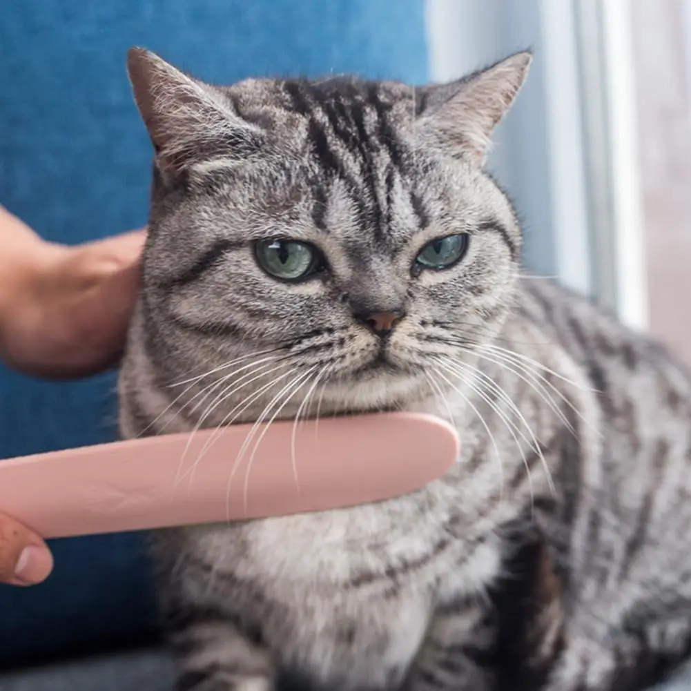 Массажная расческа в форме кота языка для домашних животных котят товары красоты